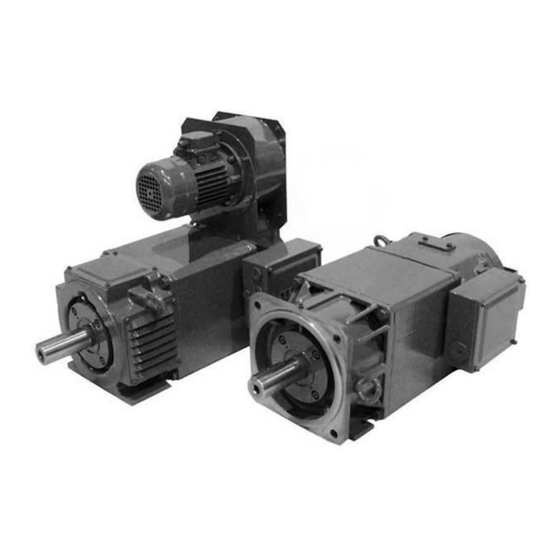 Brusatori VF160 Instructions For Installation, Use And Maintenance Manual