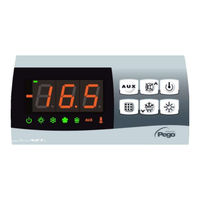 Pego 202BASE Manual