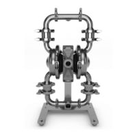 Wilden Saniflo PS8 Engineering, Operation & Maintenance
