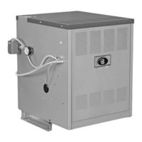 PeerlessBoilers DE-04 Installation & Maintenance Manual