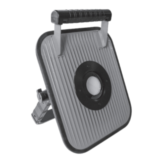 LumX LED RS-30 Instruction Manual