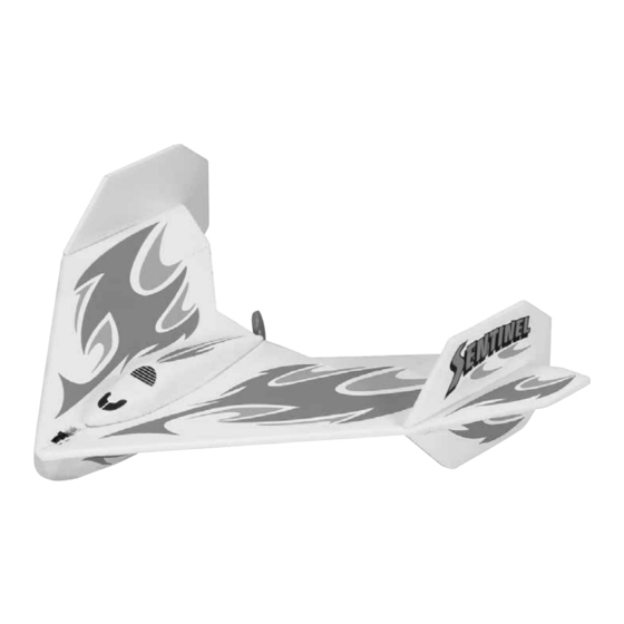 Hobbico Flyzone Sentinel HCAA0310 Instructions