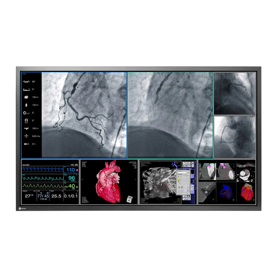 Eizo RadiForce LS580W Instructions For Use Manual