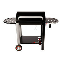 Somagic VULCANO Manual