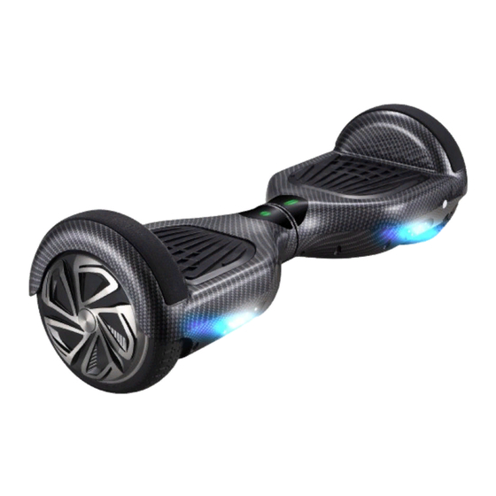 Bluewheel HX310s Manual