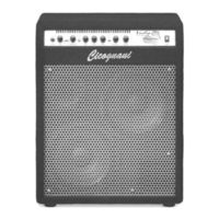 Cicognani IndY BASS AMP 420C Operating Manual
