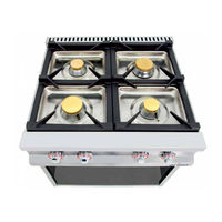 arilex 80CG70 Instruction Manual