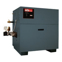 RBI DOMINATOR DW-300 Installation And Operation Manual