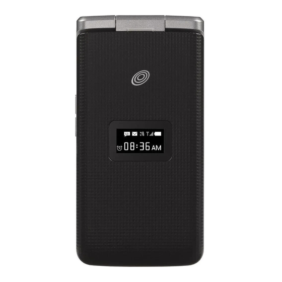 Zte Z353VL User Manual