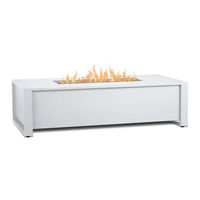 RealFlame 6340LP Owner's Manual