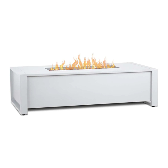 RealFlame 6340LP Owner's Manual