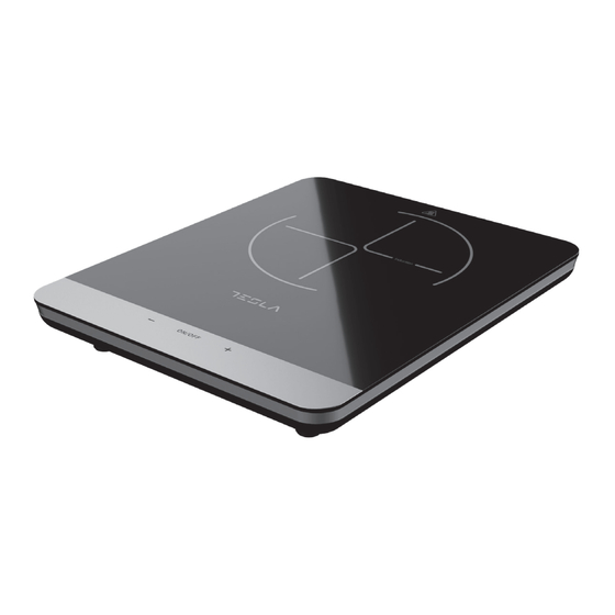 Tesla IC401B User Manual