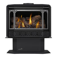 Continental Fireplaces CDVS500-1PE Installation And Operation Manual