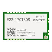Ebyte E22-170T Series User Manual