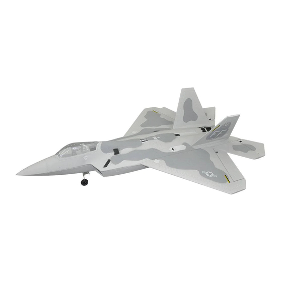 SKY FLIGHT HOBBY F-22 Instruction Manual