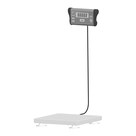 Doran Scales DS6100 Instruction Manual