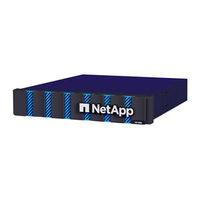 NetApp ASA A Series Manual