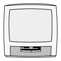 Proline TVD 1425 Instruction Manual