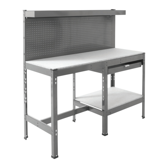 BiGDUG BiG800 Manual To Assembly & Usage
