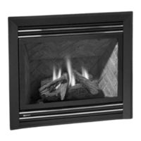 Regency Fireplace Products P33-LP4 Owners & Installation Manual