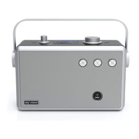 sky vision DAB 55 Instruction Manual