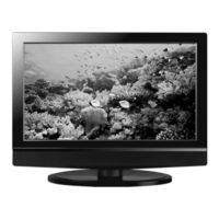 Transonic TC2380LCD Instruction Manual