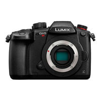 Panasonic Lumix DC-GH5S Operating Instructions For Advanced Features