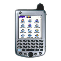 Palm Tungsten W Read This First