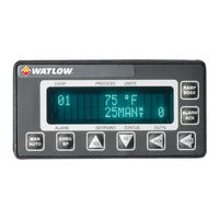 Watlow CLS200 User Manual