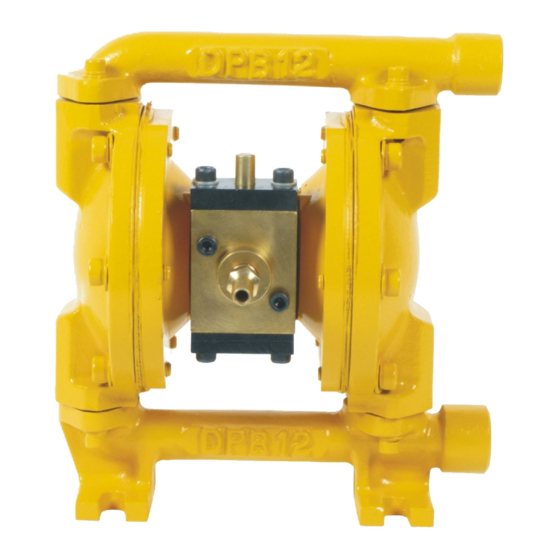 Teryair DP 12 Metal Series Operation And Maintenance Manual