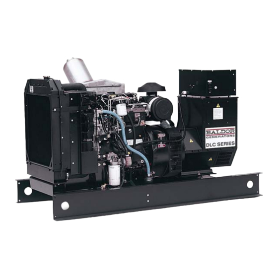 Baldor STANDBY PERMANENT MOUNT SERIES Manuals