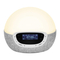 Lumie Bodyclock Shine 300 - Wake-up Light Alarm Clock Manual