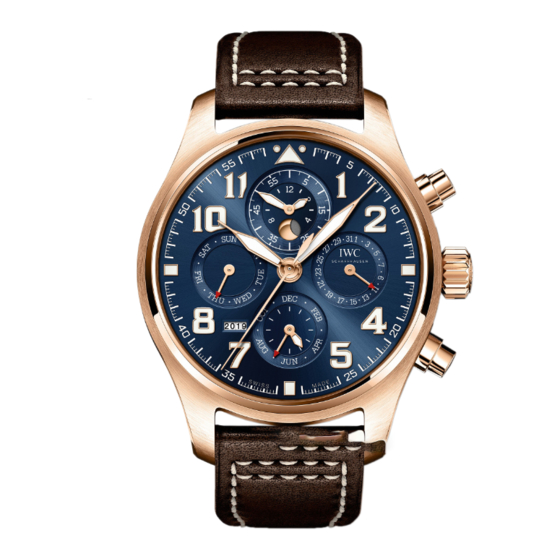 iwc PILOT'S WATCH PERPETUAL CALENDAR CHRONOGRAPH Operating Instructions Manual