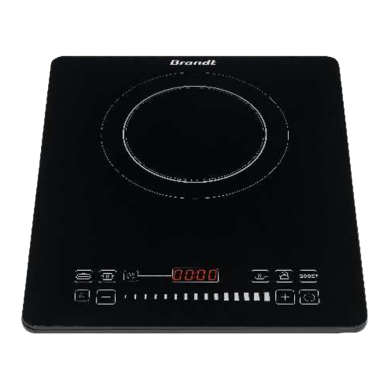 Brandt TI1SLIM Instruction Manual