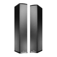 Definitive Technology Bipolar SuperTower BP7004 Owner's Manual