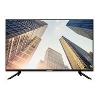 SoundMax SM-LED32M13 Instruction Manual