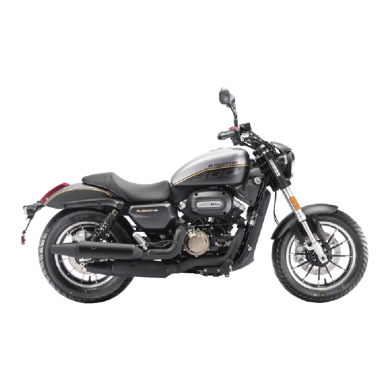QJMOTOR SRV300 Owner's Manual