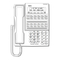 Telephone Accessories NEC DS1000 Product Description