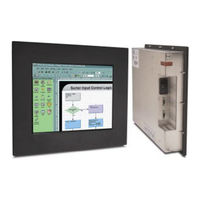 Vicpas FLI-180-TS User Manual