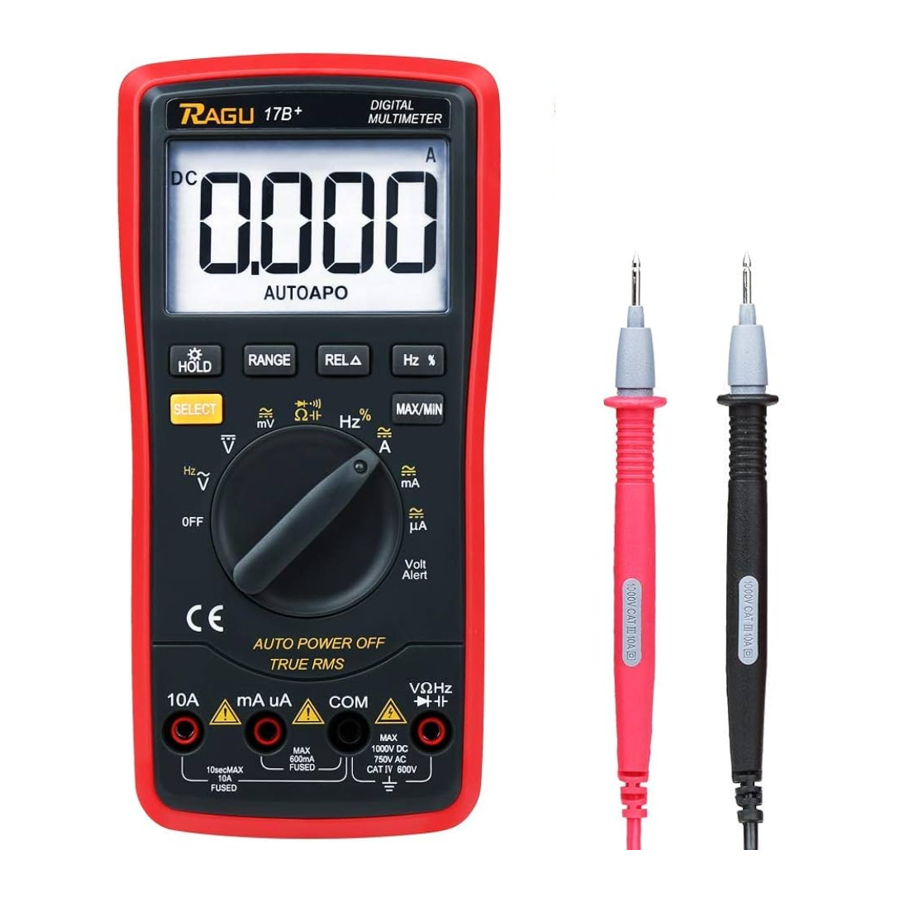 RAGU 17B Manual