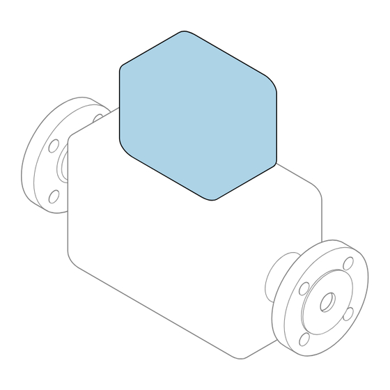 Endress+Hauser Proline 500 digital Brief Operating Instructions