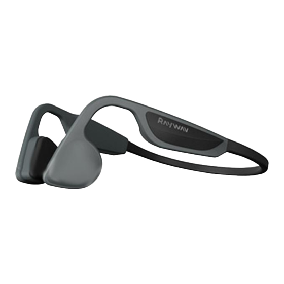 Raywav Pro Manual