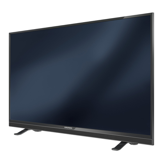 Grundig 55 VLE 841 BL Instructions Manual