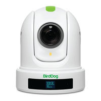 birddog P120 User Manual