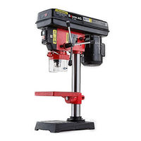 Baumr-AG DP13 User Manual