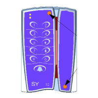 Synel SY-11 Product Manual