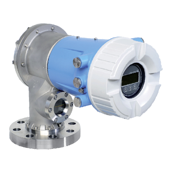 Endress+Hauser Proservo NMS81 Gauging Manuals