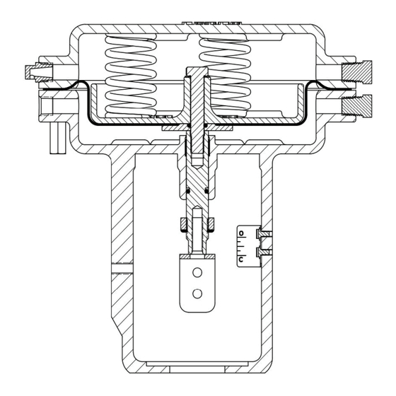 cashco C110 Installation, Operation & Maintenance Manual
