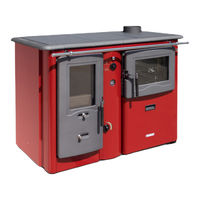 Termomont Temy Plus P 20 Technical  User's Manual