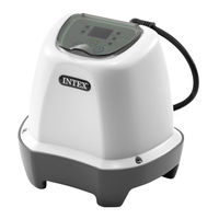 Intex CS20110 Owner's Manual